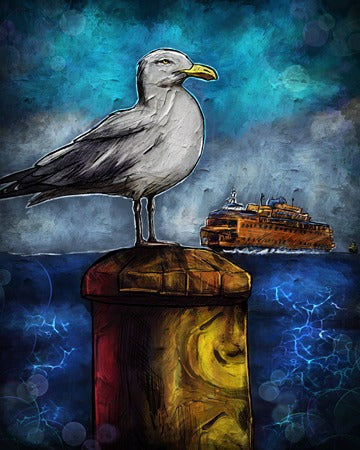 Midnight Ferry, Morning Gull